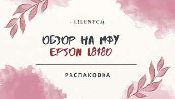 Распаковка МФУ Epson L8180 или Epson ET-8550.