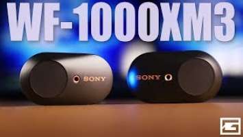 Almost Perfect : Sony WF-1000XM3 True Wireless REVIEW