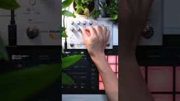 NI Maschine Mikro MK3 + Hologram Electronics Microcosm + Arturia MiniFuse 1｜Ambient music　#shorts