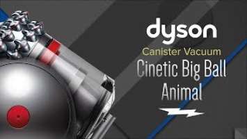 SONUNDA ALDIK. DYSON CİNETİC BİG BALL ANİMAL PRO 2 KUTU AÇILIMI