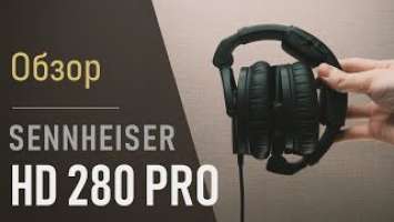 Sennheiser HD 280 Pro. Конкурент Sony MDR-7506? Любимые наушники битмейкеров. Удивила АЧХ!