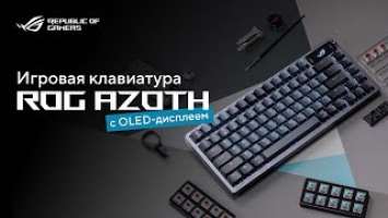 OLED-дисплей в клавиатуре! | Обзор ROG Azoth