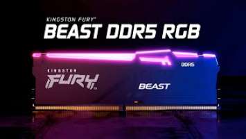 DDR5 RGB Memory with speeds up to 6000MT/s – Kingston FURY Beast DDR5 RGB