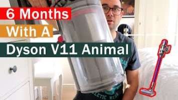 6 Months with a Dyson V11 Animal