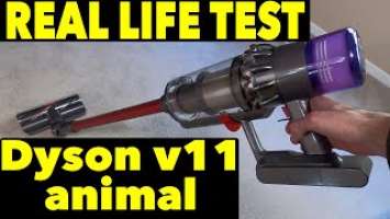 Dyson v11 animal Real Life Test 4K