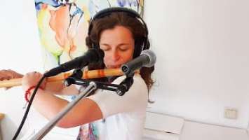 AKG C 636 vs Shure Beta 58A - Microphone Test – with Flute I Stephanie Bosch