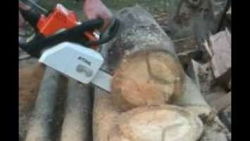 Stihl MS170 Chainsaw Cutting Pine Log