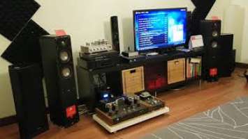 Home-Brew valve amplifiers matched with Polk Audio Signature S50 Tower Speakers and Audiolab Q-DAC