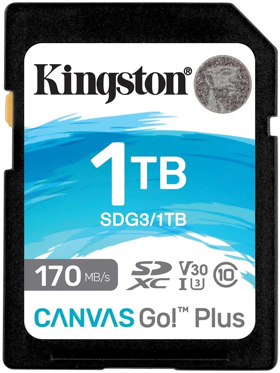 Карта памяти SDXC UHS-I U3 Kingston Canvas Go! Plus 1024 ГБ, 170 МБ/с, Class 10, SDG3/1TB,  1 шт., без адаптера