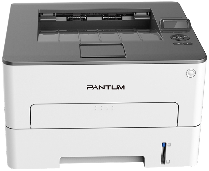 Pantum P3010DW